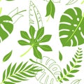 Trendy Summer Tropical Leaves Vector Design. Floral seamless pattern. Doodle vector background with leaves.